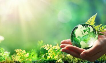 Our Commitment to Sustainability: Eco-Friendly Practices at Oilchem
